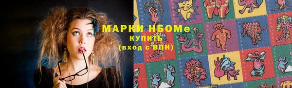 шишки Бородино