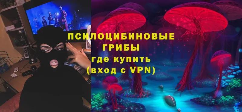 Псилоцибиновые грибы Magic Shrooms  mega рабочий сайт  Кимовск 